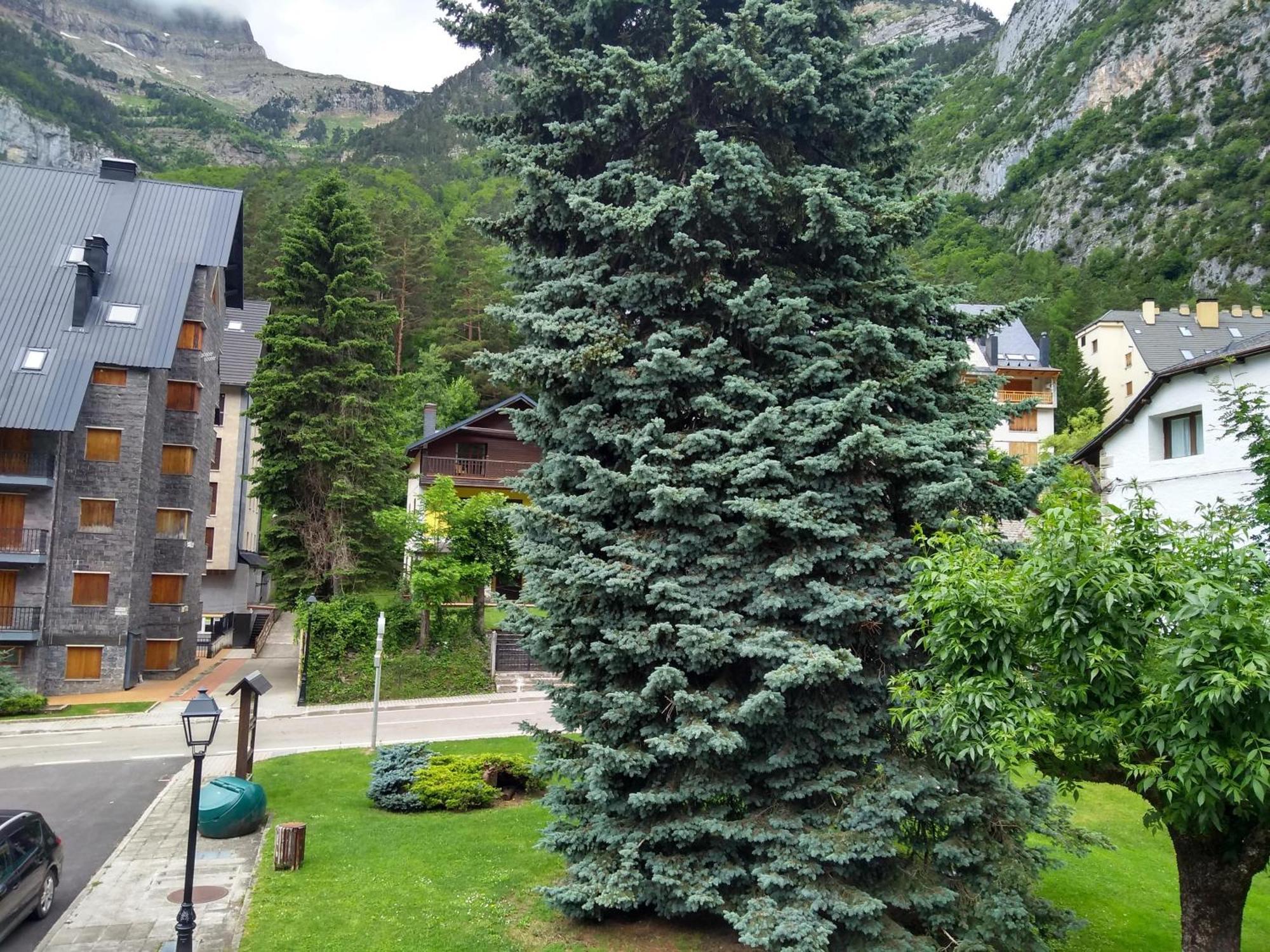 Apartamento Anayet Avairent Estacion *